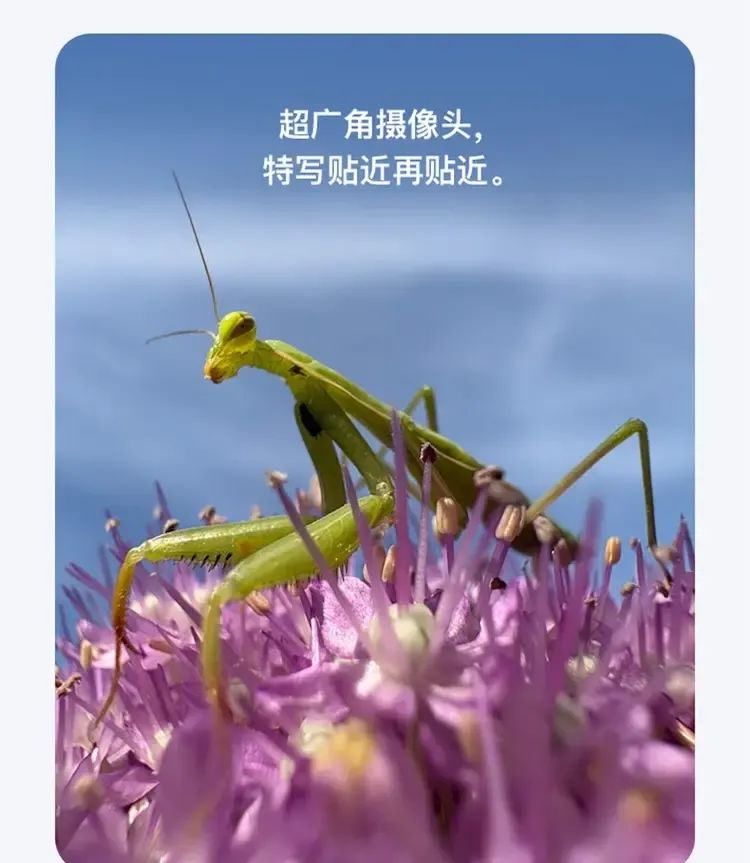 https://img.0576sj.com/newstatic/57250/141e6f73f344e206.jpg.webp